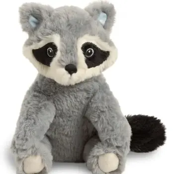 Baby Racoon